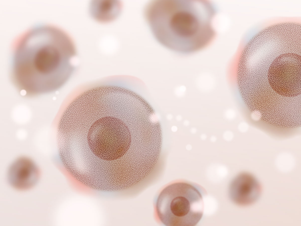 feat0<br />
<b>Warning</b>:  Undefined variable $i in <b>/home/xs171376/reunet.jp/public_html/trial11/wp/wp-content/themes/reutrial/parts/loop_features.php</b> on line <b>20</b><br />
<br />
<b>Warning</b>:  Undefined variable $count in <b>/home/xs171376/reunet.jp/public_html/trial11/wp/wp-content/themes/reutrial/parts/loop_features.php</b> on line <b>20</b><br />
2